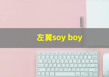 左翼soy boy